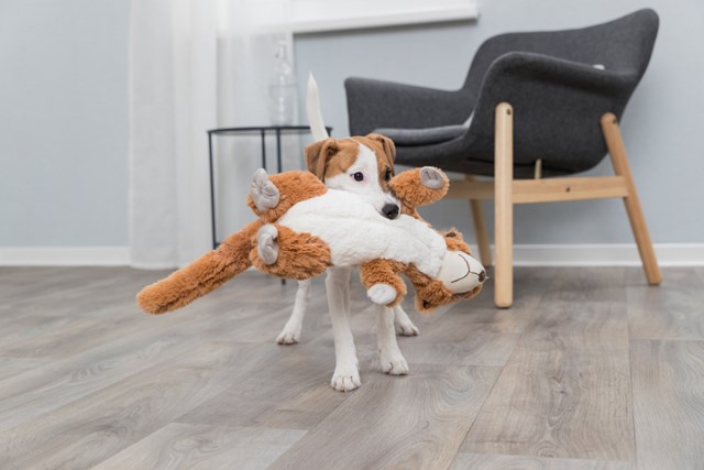 Surikat 40 cm - Myk Hundeleke med Lyd