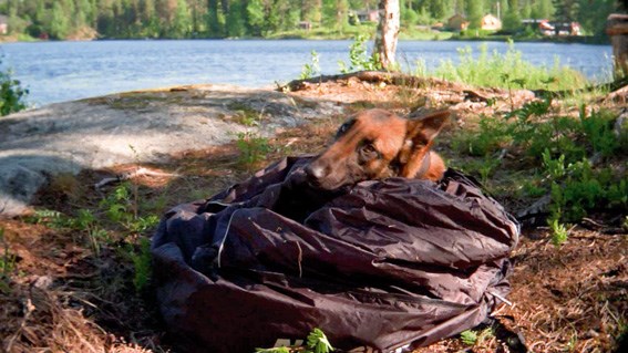 Non-Stop padded heating bag - multi functional bed