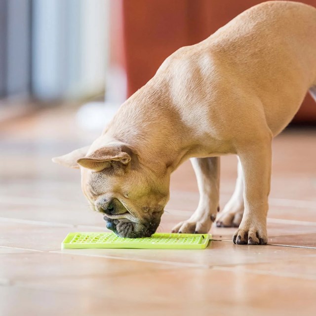 Lickimat Buddy Hundeskål/ Slikkematte grønn 20x20