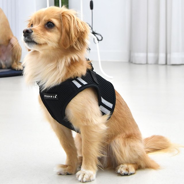 Soft Vest PRO Svart - Hundesele