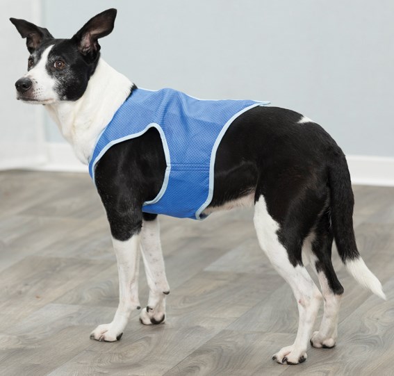 Cooling Vest - Blue