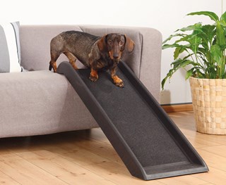 Petwalk Ramp 38x100 Cm