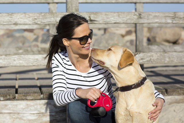 Flexi New Classic Kobbel Med Bånd 3 m - Rød