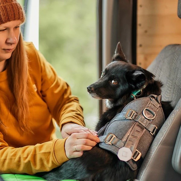 Hurtta Travel Harness - Blackberry