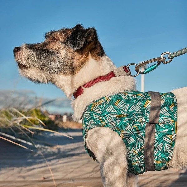 Hurtta ECO Safety Wrap