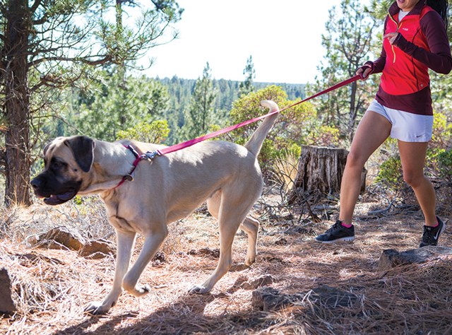Flat Out Multifunksjonelt Kobbel - Rød