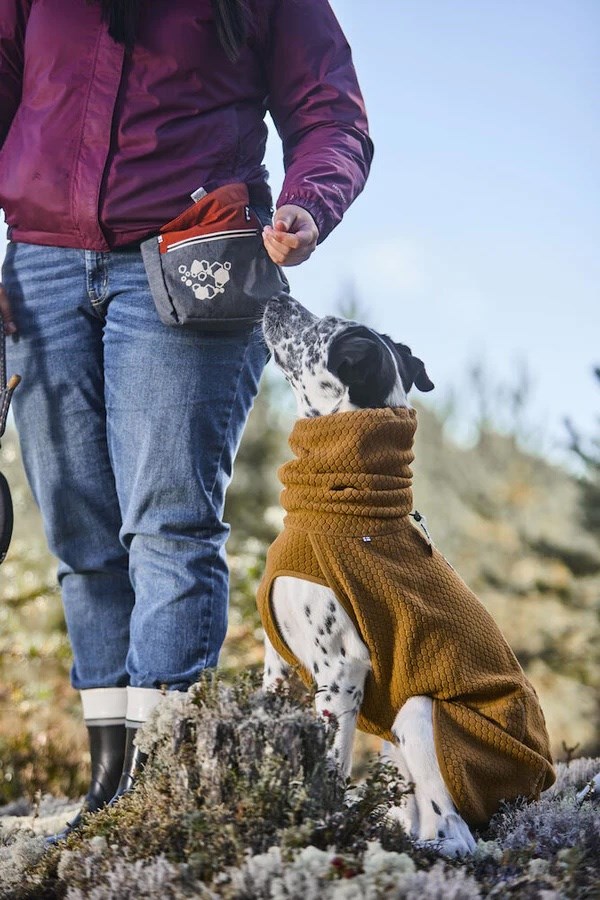 WARMING MIDLAYER ECO DOG JACKET - Desert