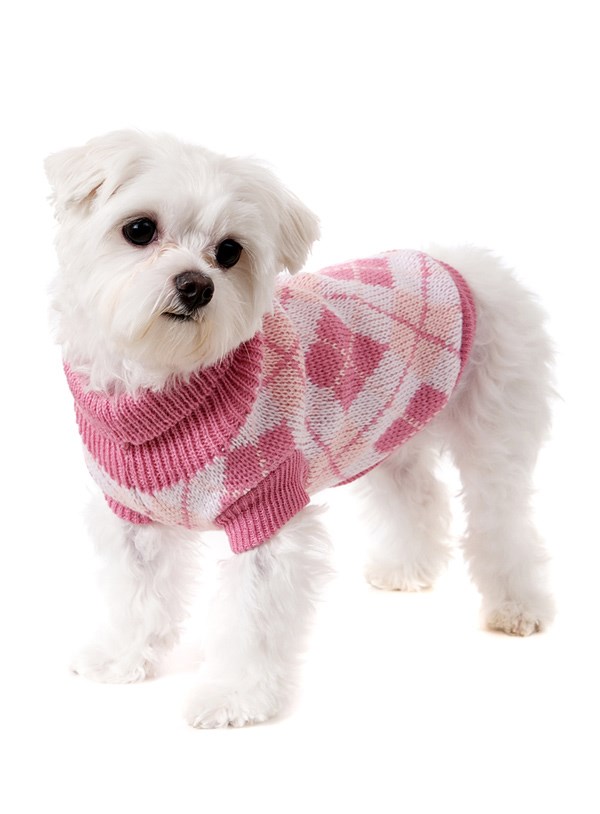 Pink Argyle - Strikket Hundegenser