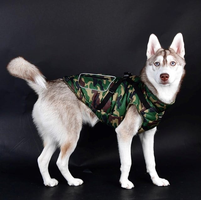 Mountaineer II Camo - Fôret Hundedekken med Integrert Sele