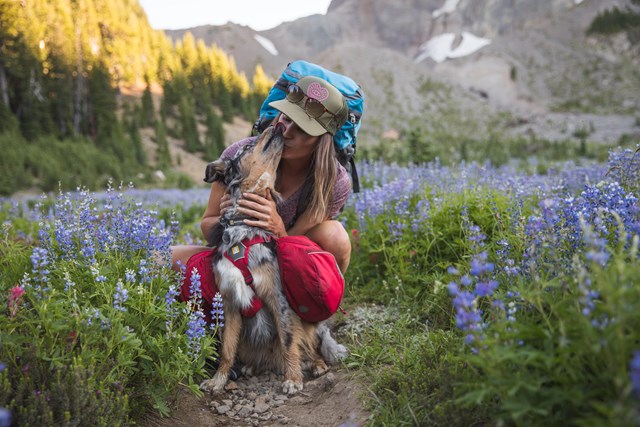 Palisades Pack Hundekløv - Rød