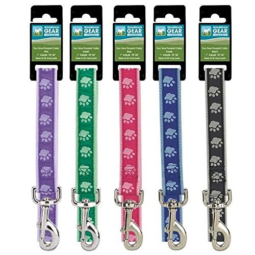 GG Pawprint Hundekobbel - Grønn