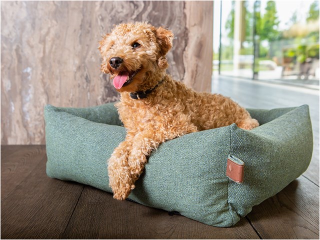 Fantail Snug Ortopedisk Hundeseng - Botanical Green