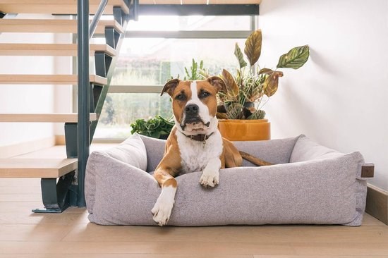 Fantail Snug Ortopedisk Hundeseng - Nut Grey