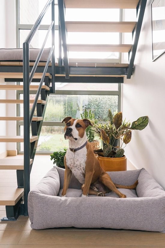 Fantail Snug Ortopedisk Hundeseng - Nut Grey