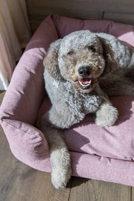 Fantail Snooze Ortopedisk Hundeseng - Iconic Pink