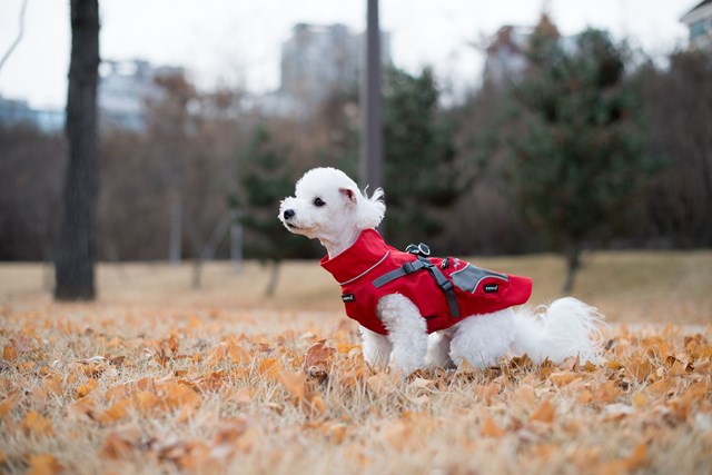 Teton - Regndekken med Refleks
