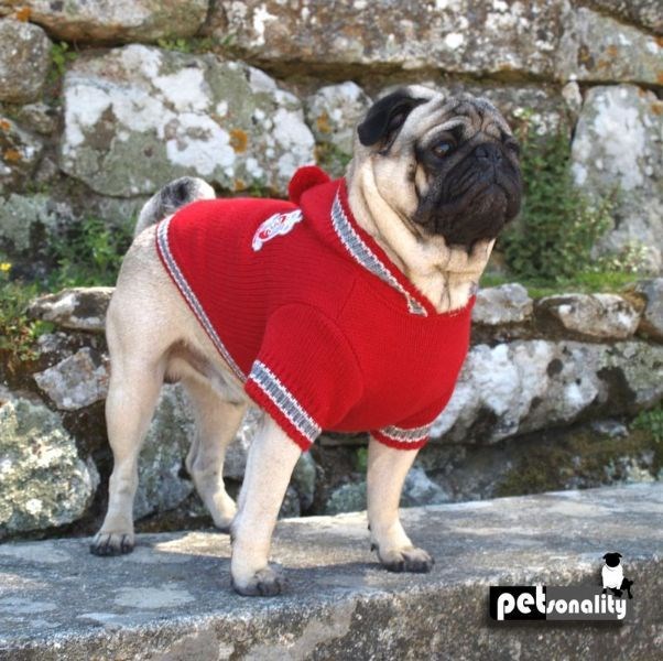 Petsonality College Team