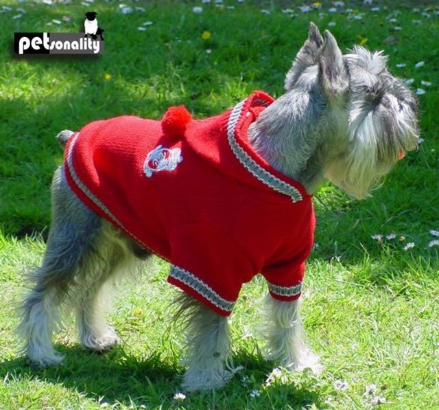 Petsonality College Team