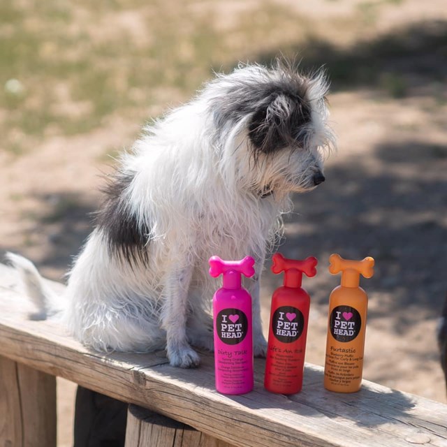 Life's An Itch Skin - Beroligende Sjampo 475 ml