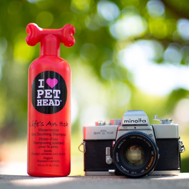 Life's An Itch Skin - Beroligende Sjampo 475 ml