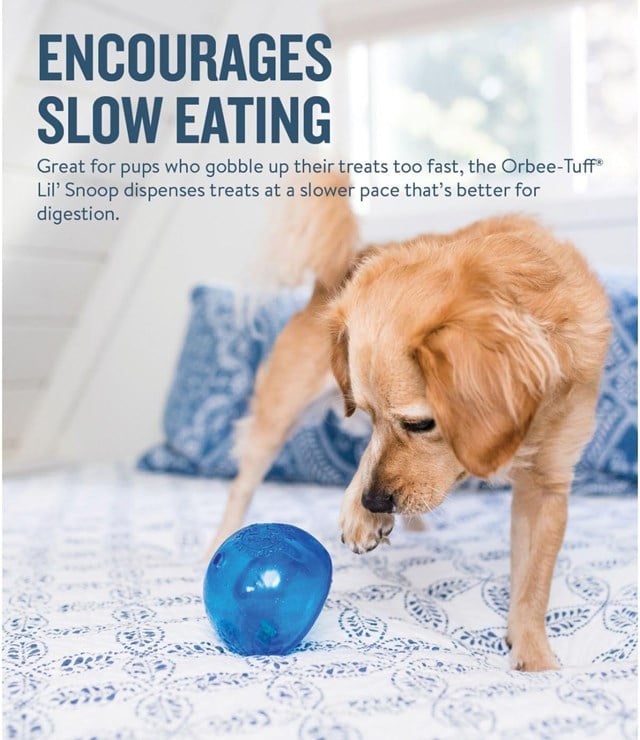 Planet Dog Orbee-Tuff Lil Snoop - blå