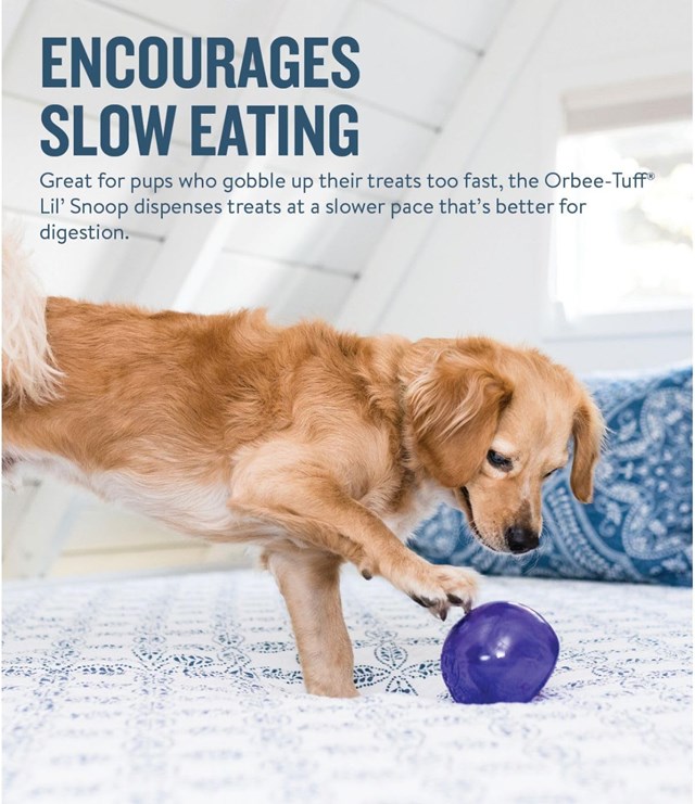 Planet Dog Orbee-Tuff Lil Snoop activity toy - purple