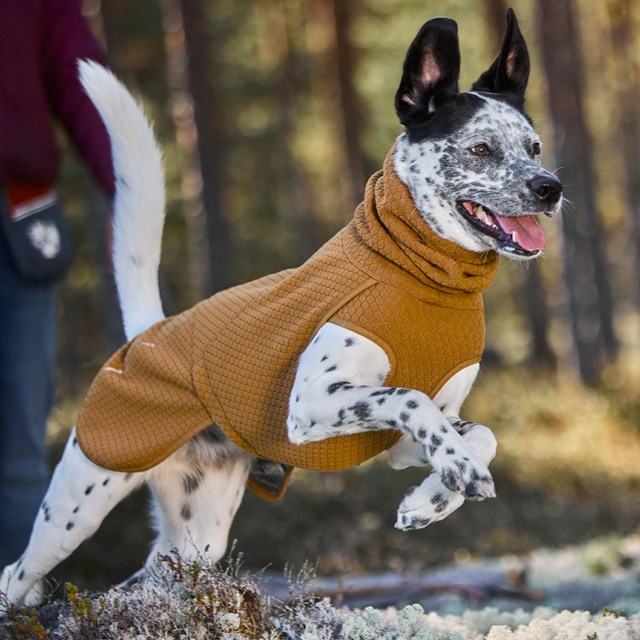 WARMING MIDLAYER ECO DOG JACKET - Desert