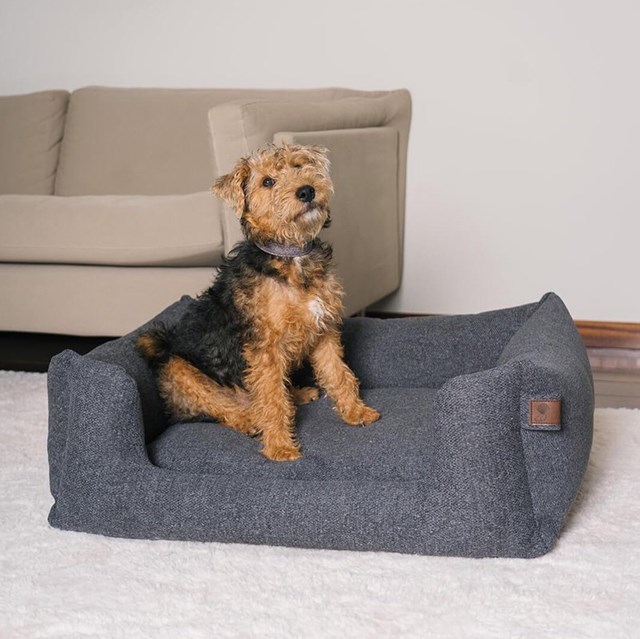 Fantail Snooze Ortopedisk Hundeseng - Epic Grey