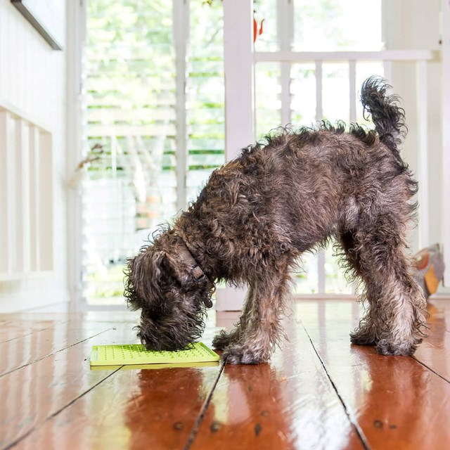 Lickimat Buddy Hundeskål/ Slikkematte Grønn 28x28