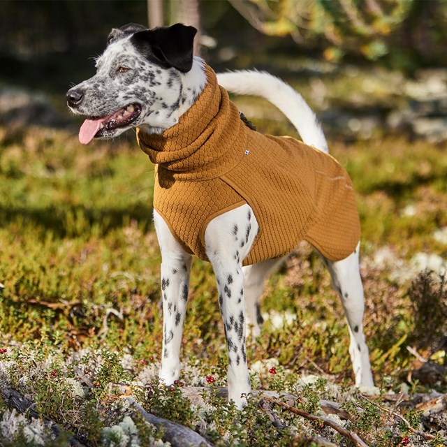 WARMING MIDLAYER ECO DOG JACKET - Desert