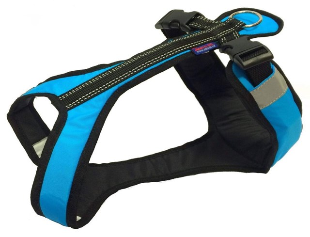 Zero DC Shorter Turkis & Svart