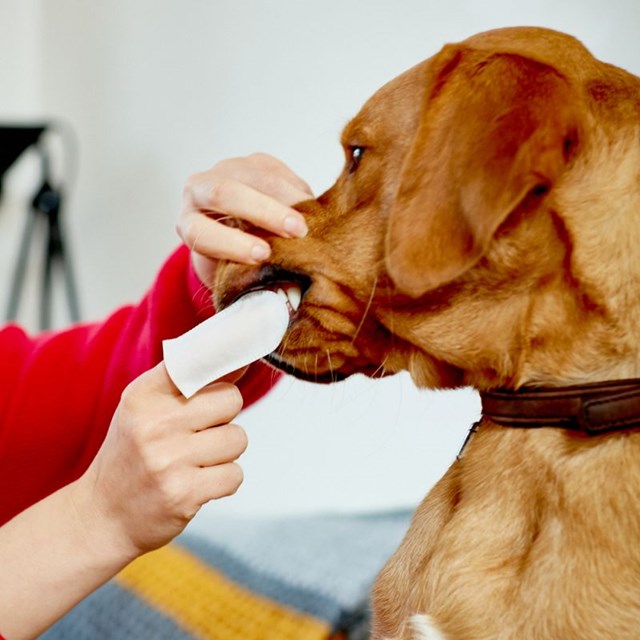 Vet's Best Teeth Pads 50-pc