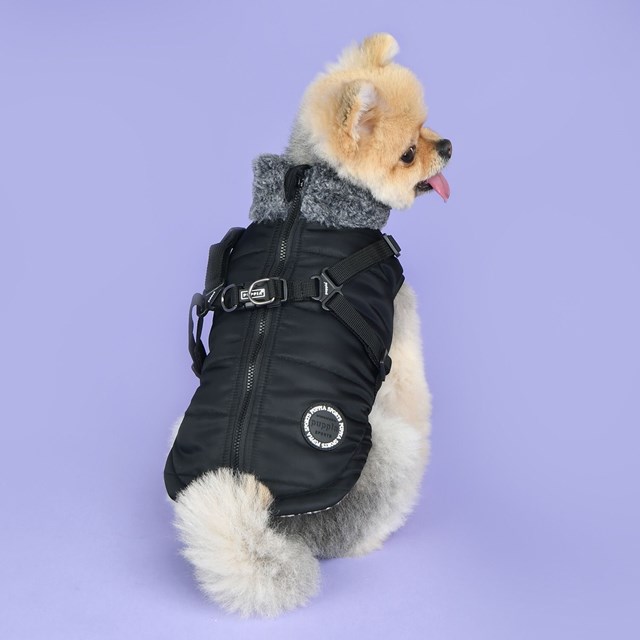 DONAVAN BLACK - DOG JACKET