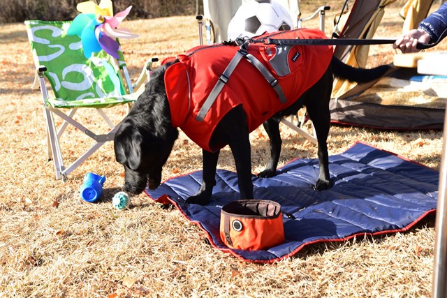 Teton - Regndekken med Refleks