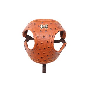 PA Ostrich FASTENY HARNESS Brown