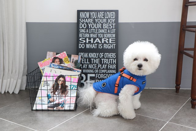 Mountaineer II Blue - Fôret Hundedekken med Integrert Sele