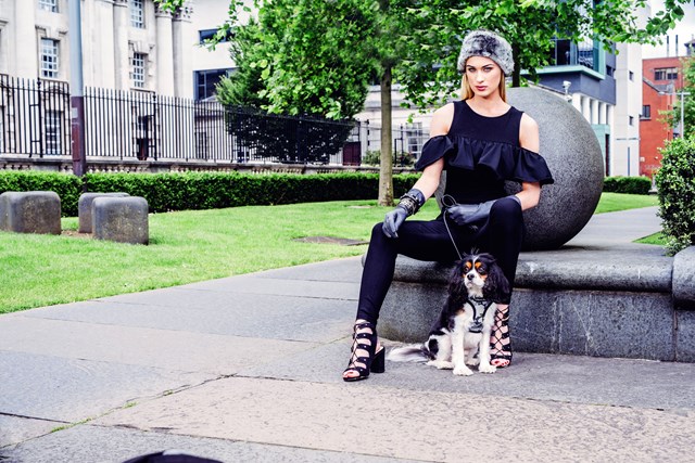 Urban Camouflage - Hundesele