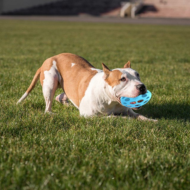 Meta Ball Wiggle Holey Roller