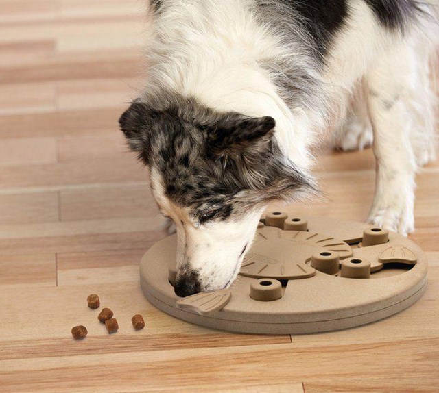 Nina Ottosson Dog Worker Komposit Natur AKTIVERINGSLEKSAK