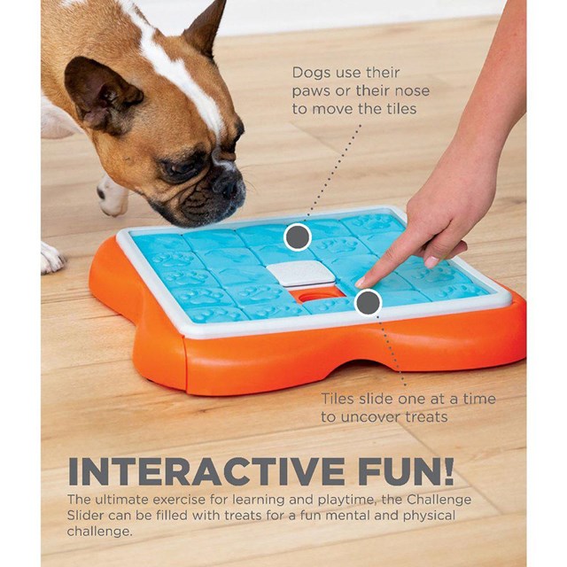 Nina Ottosson Dog Challenge Slider