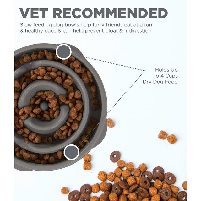 OUTWARD HOUND FUN FEEDER