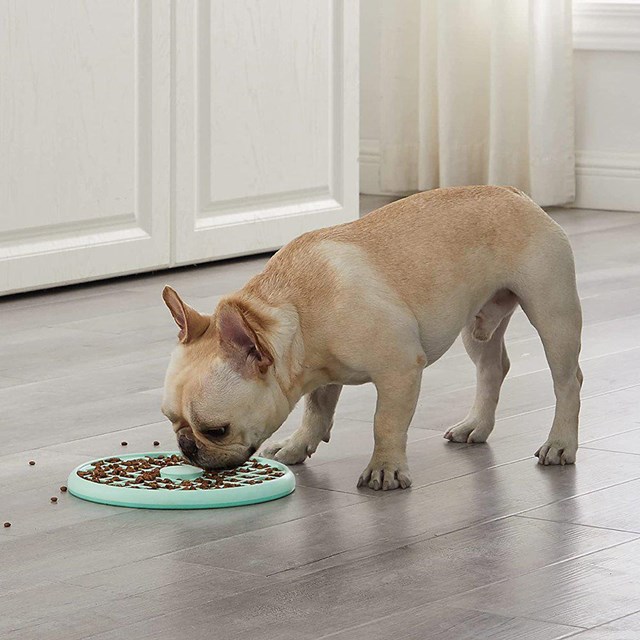 OUTWARD HOUND Fun Feeder Slo Tray - Mint