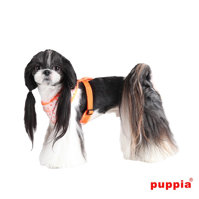 Cosmic Orange - Hundesele