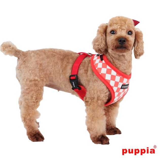 Grand Prix Red - Hundesele