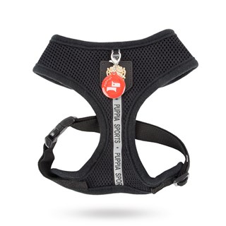 Dex Black - Hundesele Xl