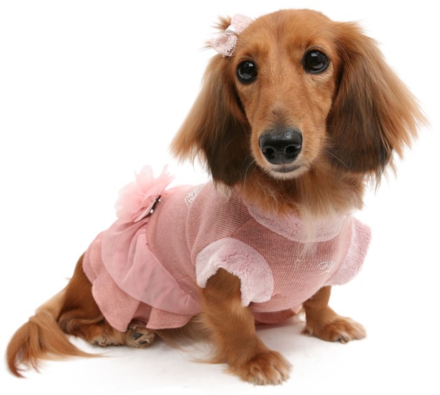 Sweet Necky Hair Pin