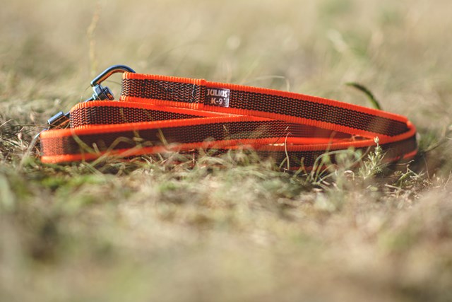 K9 Super-Grip Kobbel Oransje/Grå 20 mm