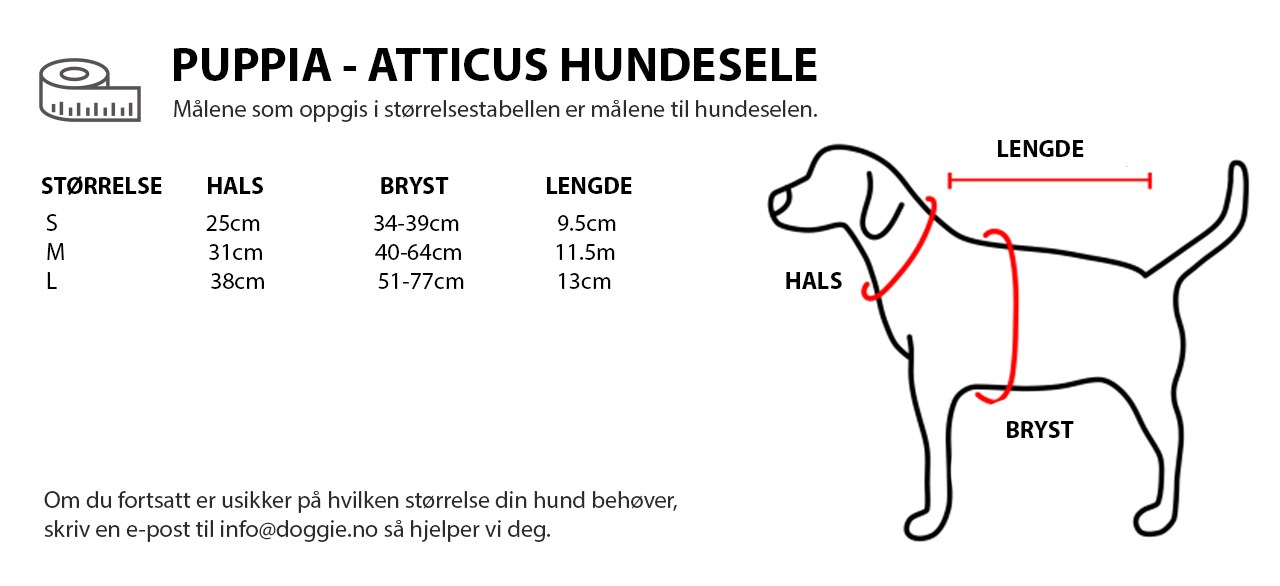 PUPPIA - ATTICUS HUNDESELE  NO.jpg