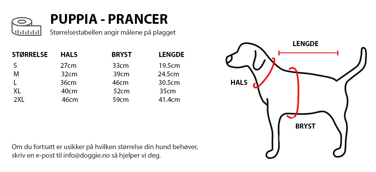 PUPPIA - PRANCER NO.jpg