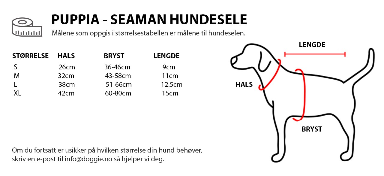 PUPPIA - SEAMAN HUNDSELE NO.jpg